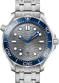 Omega Seamaster Planet Ocean 600M Co-Axial 232.92.42.21.03.00